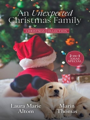 cover image of An Unexpected Christmas Family